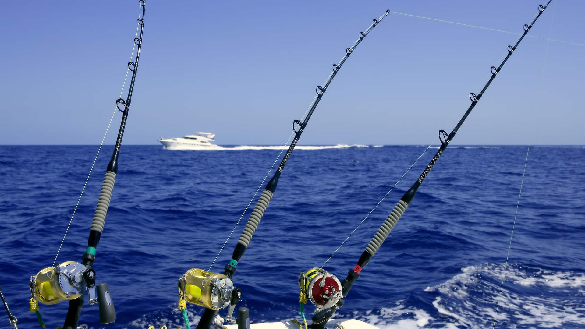 Hyatt House Naples/5th Avenue Fishing