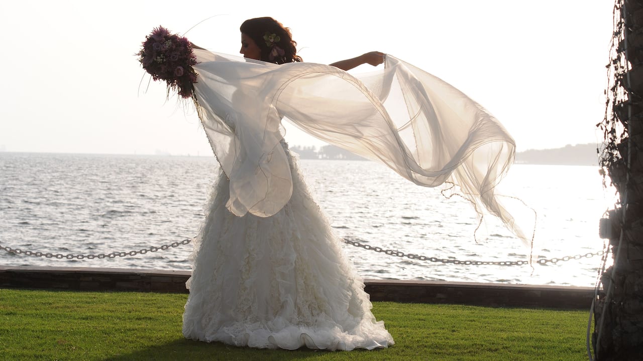 Bride Flying Veil