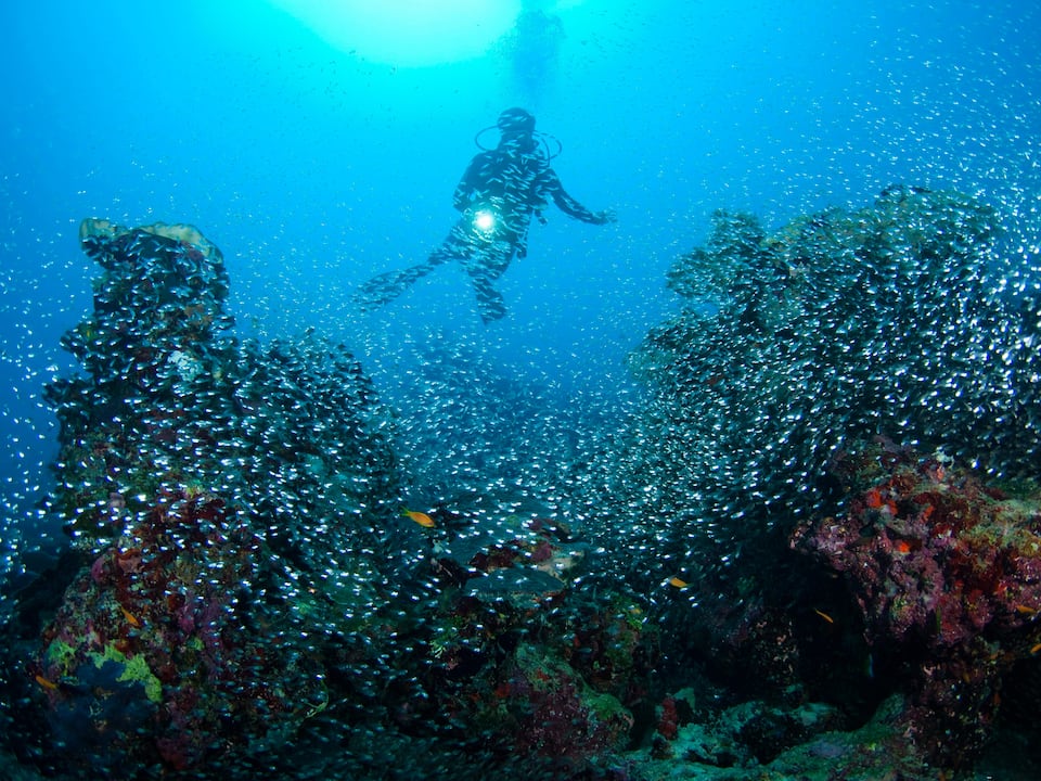 Maldives Diving in Best Luxury Maldives Resort