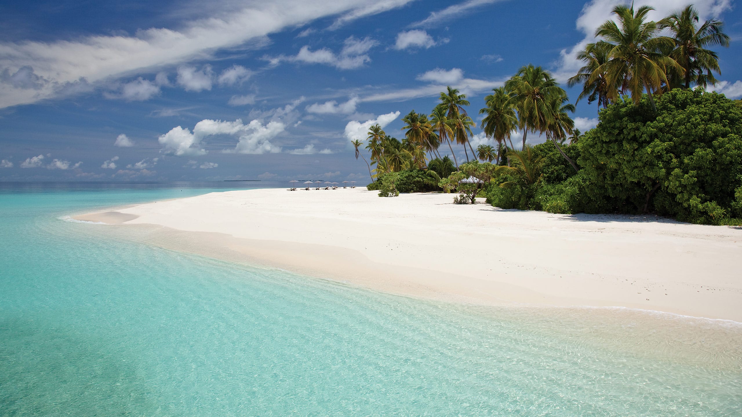 2560px x 1440px - Luxury 5-star Maldives Resort | Park Hyatt Maldives Hadahaa