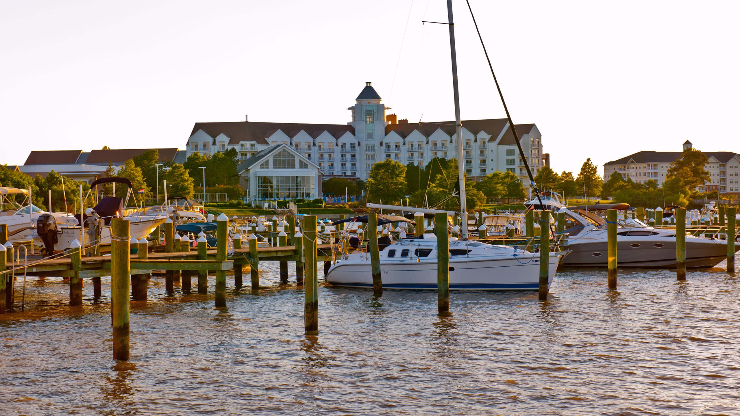 Hyatt Regency Chesapeake Bay Golf Resort, Spa and Marina Marina View