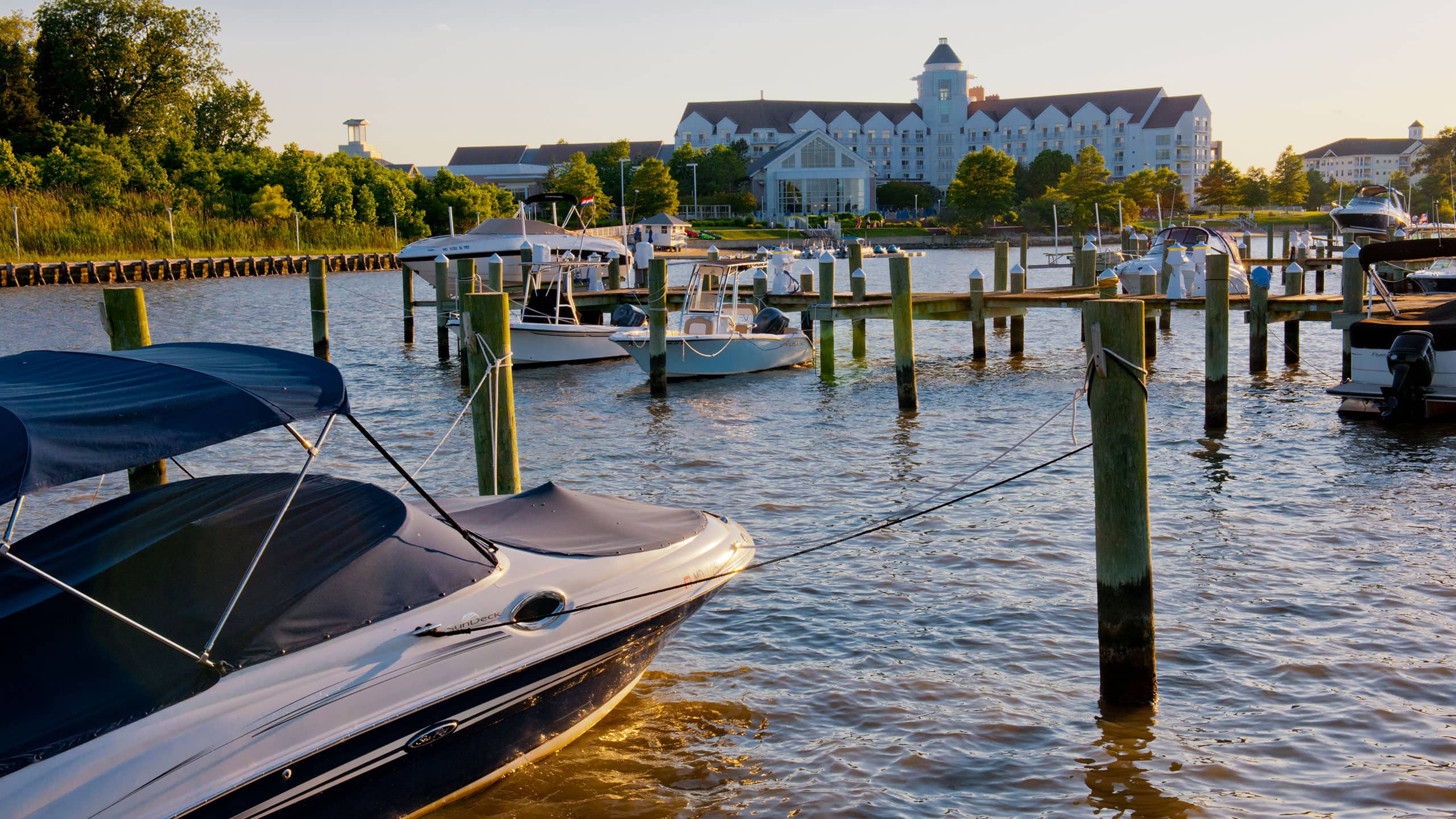 Hyatt Regency Chesapeake Bay Golf Resort, Spa and Marina River Marsh Marina Dock