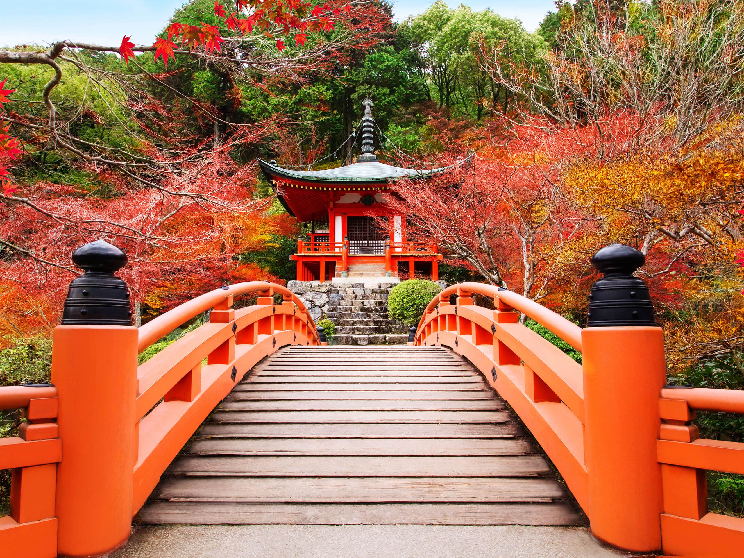 Book A Hyatt Hotel In Kyoto World Of Hyatt Asia Pacific