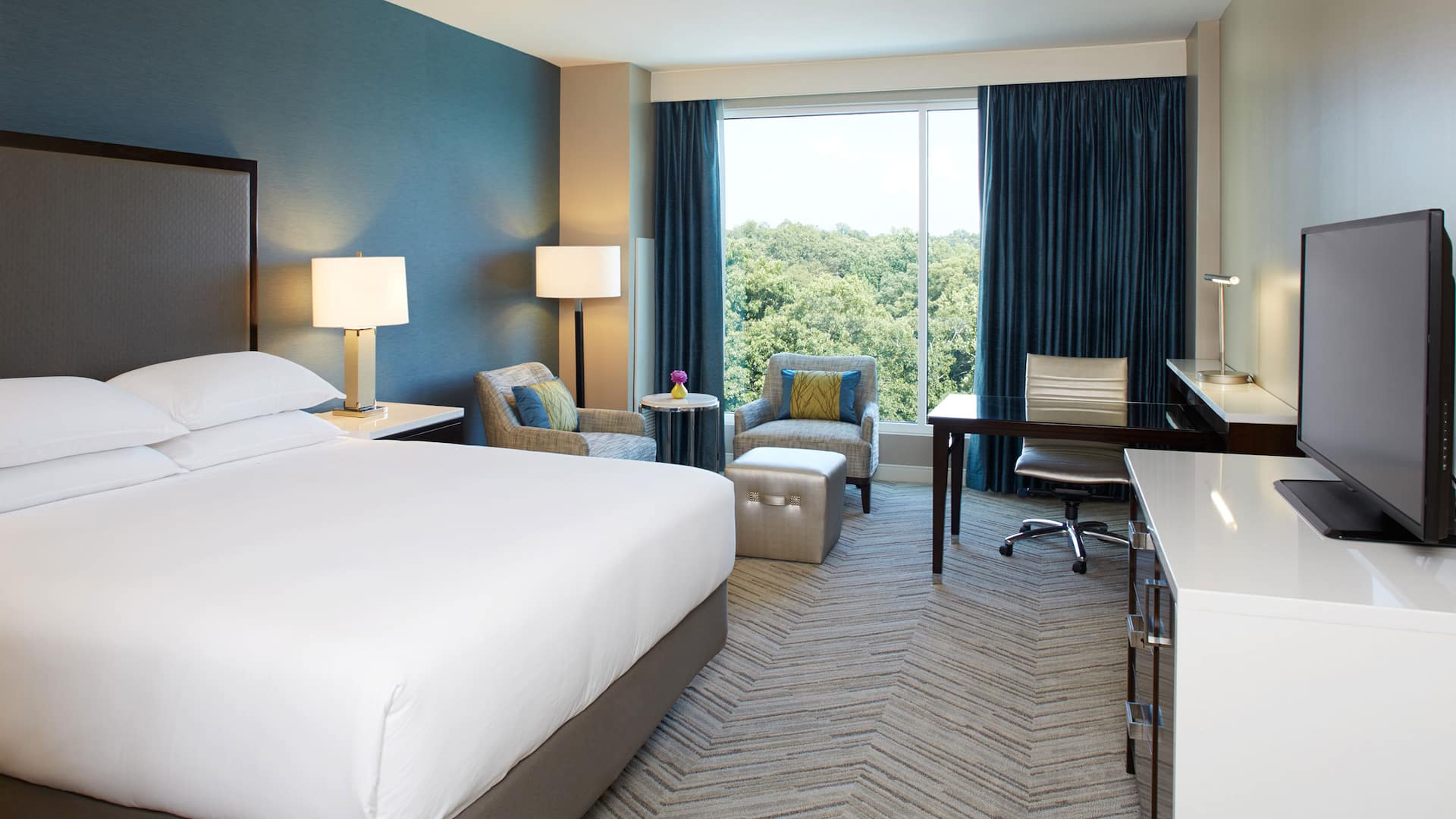 Hyatt Regency Atlanta Perimeter at Villa Christina Deluxe King