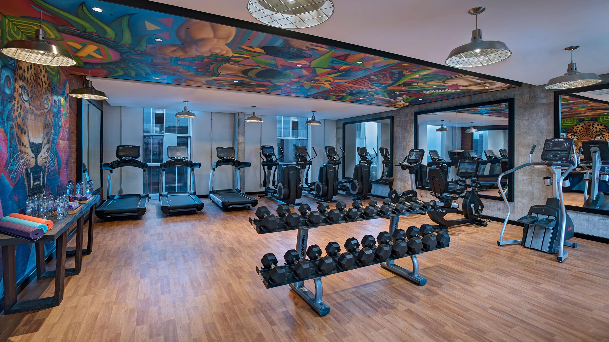 Hyatt Centric Guatemala City Fitness