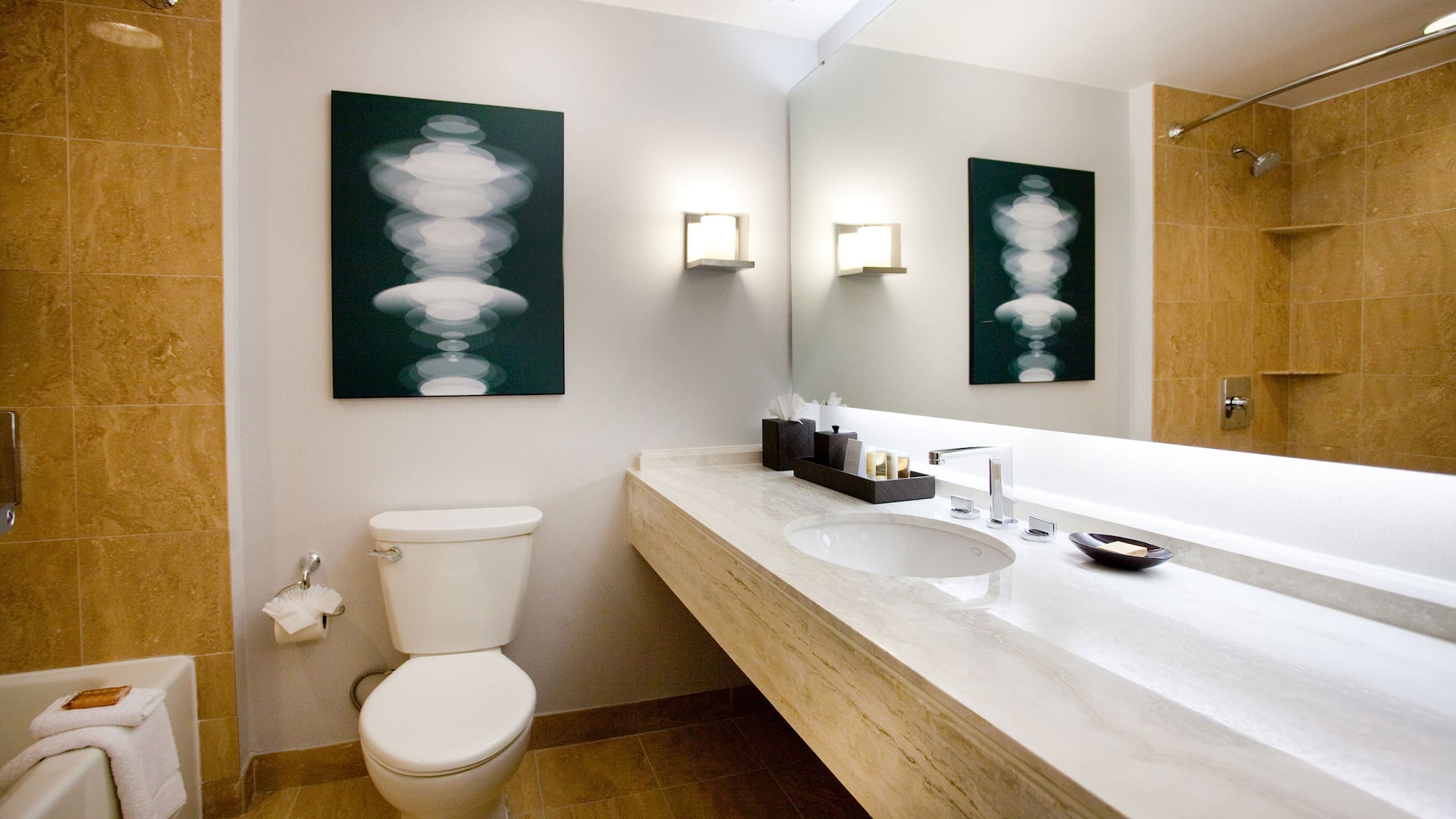 第 1，共 1 Hyatt Regency Birmingham - The Wynfrey Hotel Guest Bathroom Model Room