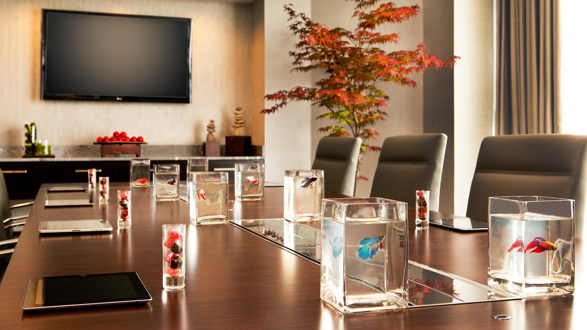 1 of 5 Hyatt Regency Boston Ipswich Beta Fish