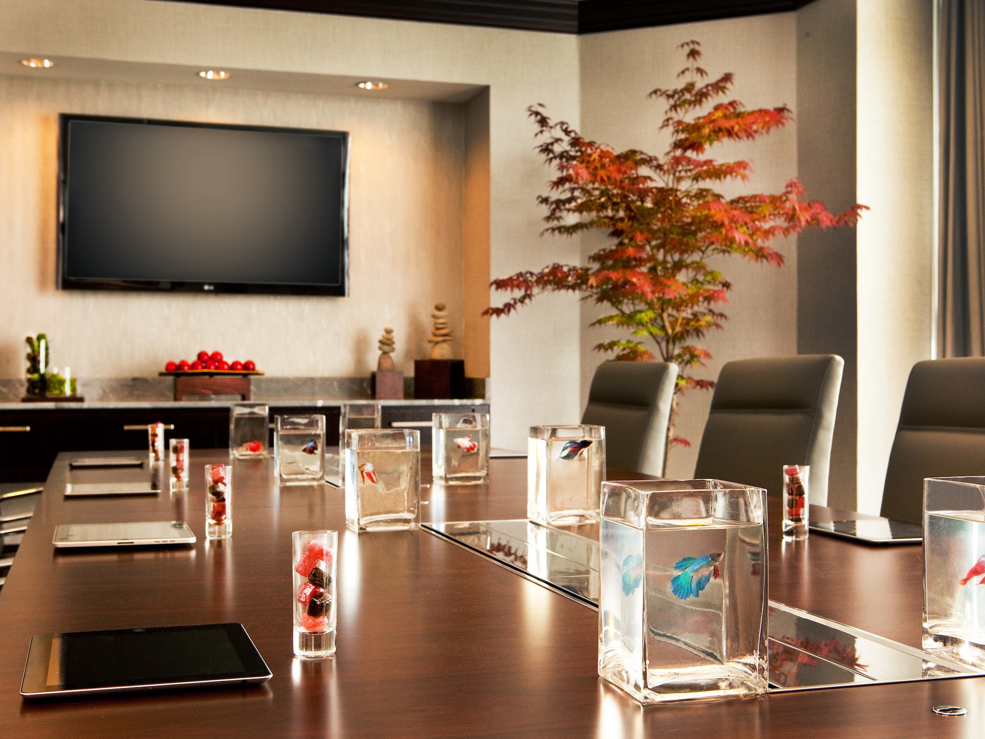 Hyatt Regency Boston Ipswich Beta Fish