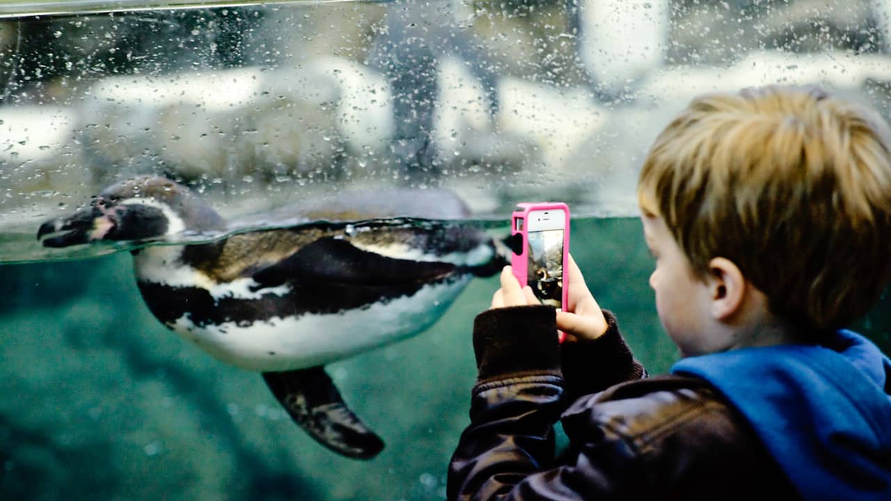 Calgary Zoo