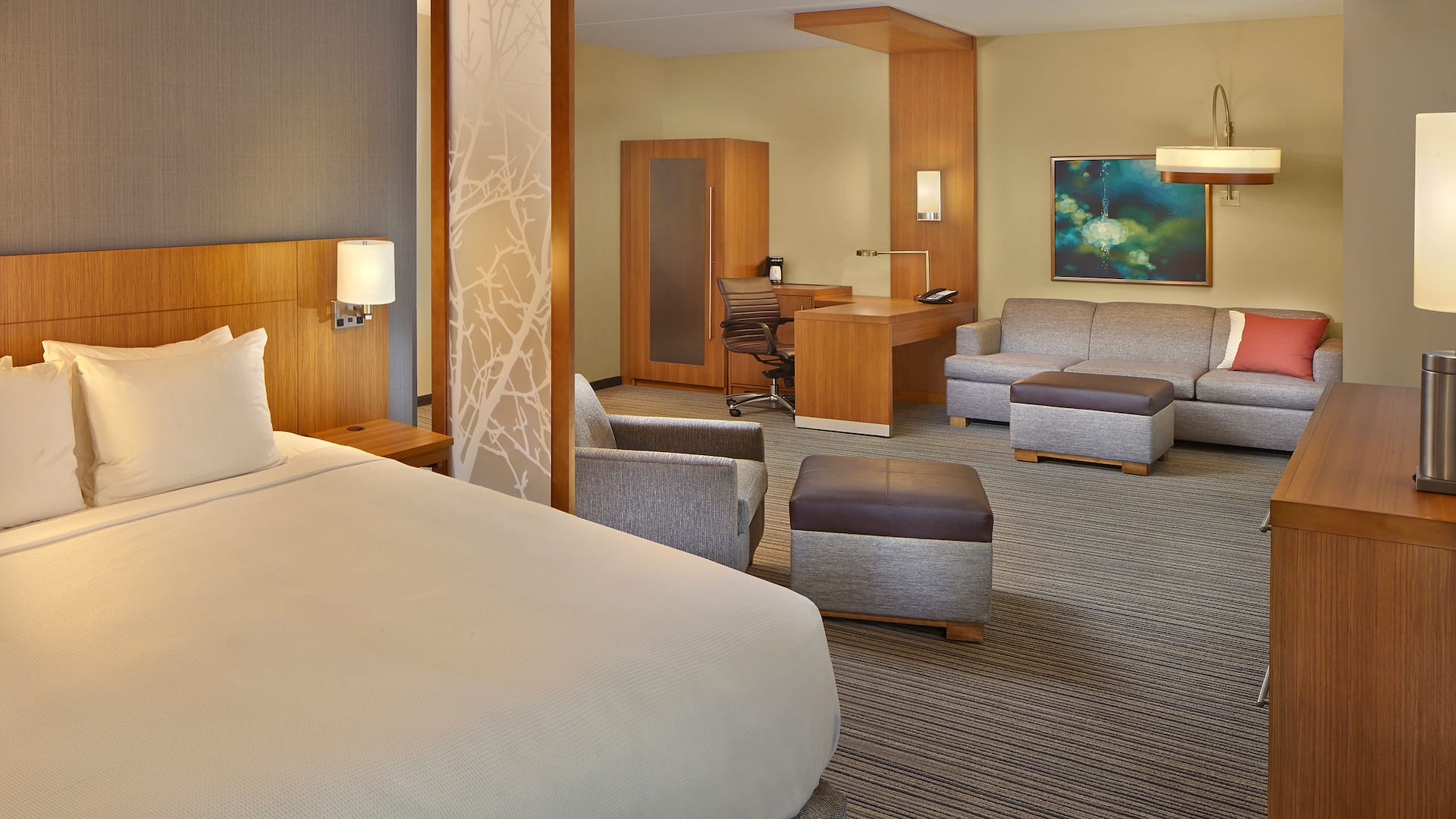 Hyatt Place Chapel Hill Specialty King