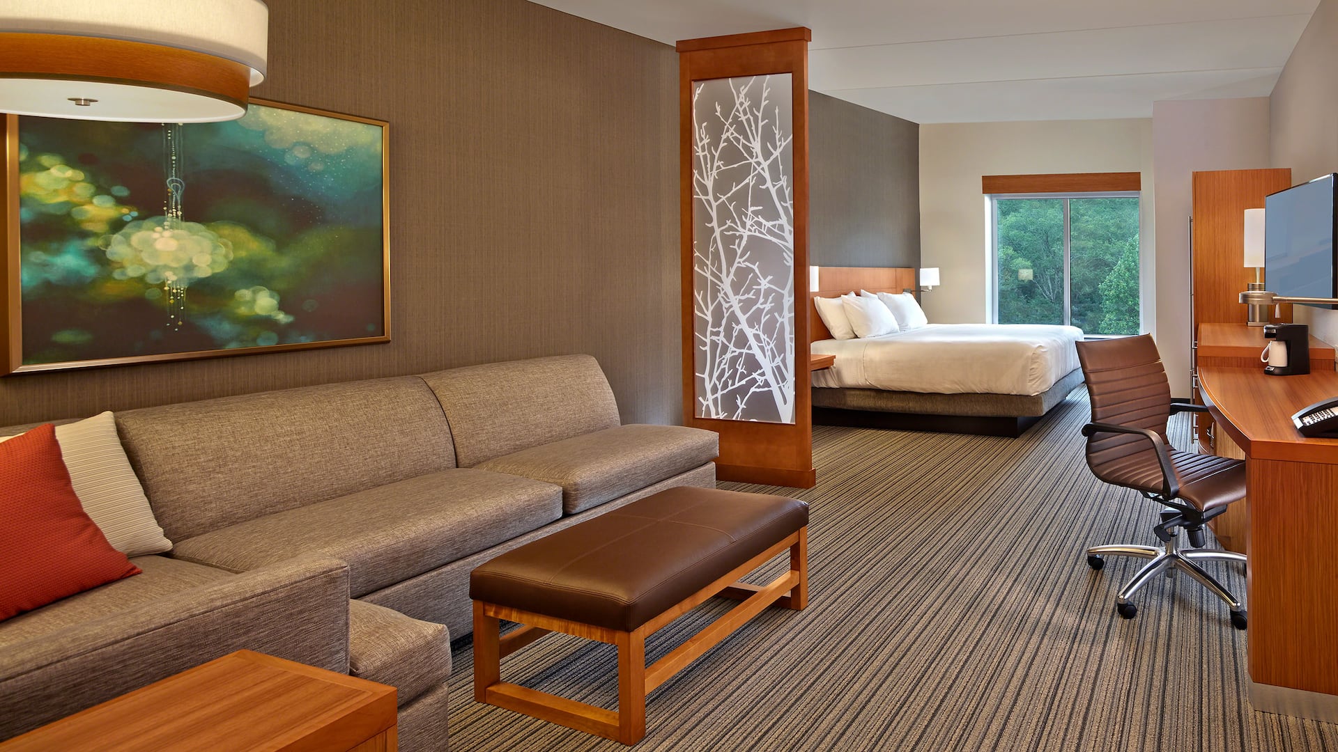 Hyatt Place Chapel Hill King
