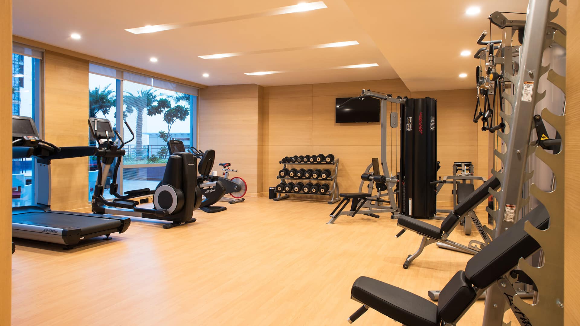 Hyatt Regency Lucknow Gym