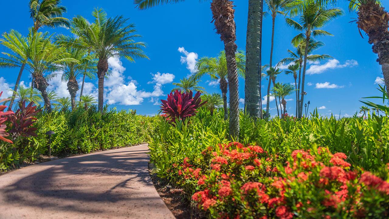 Stroll through lush gardens