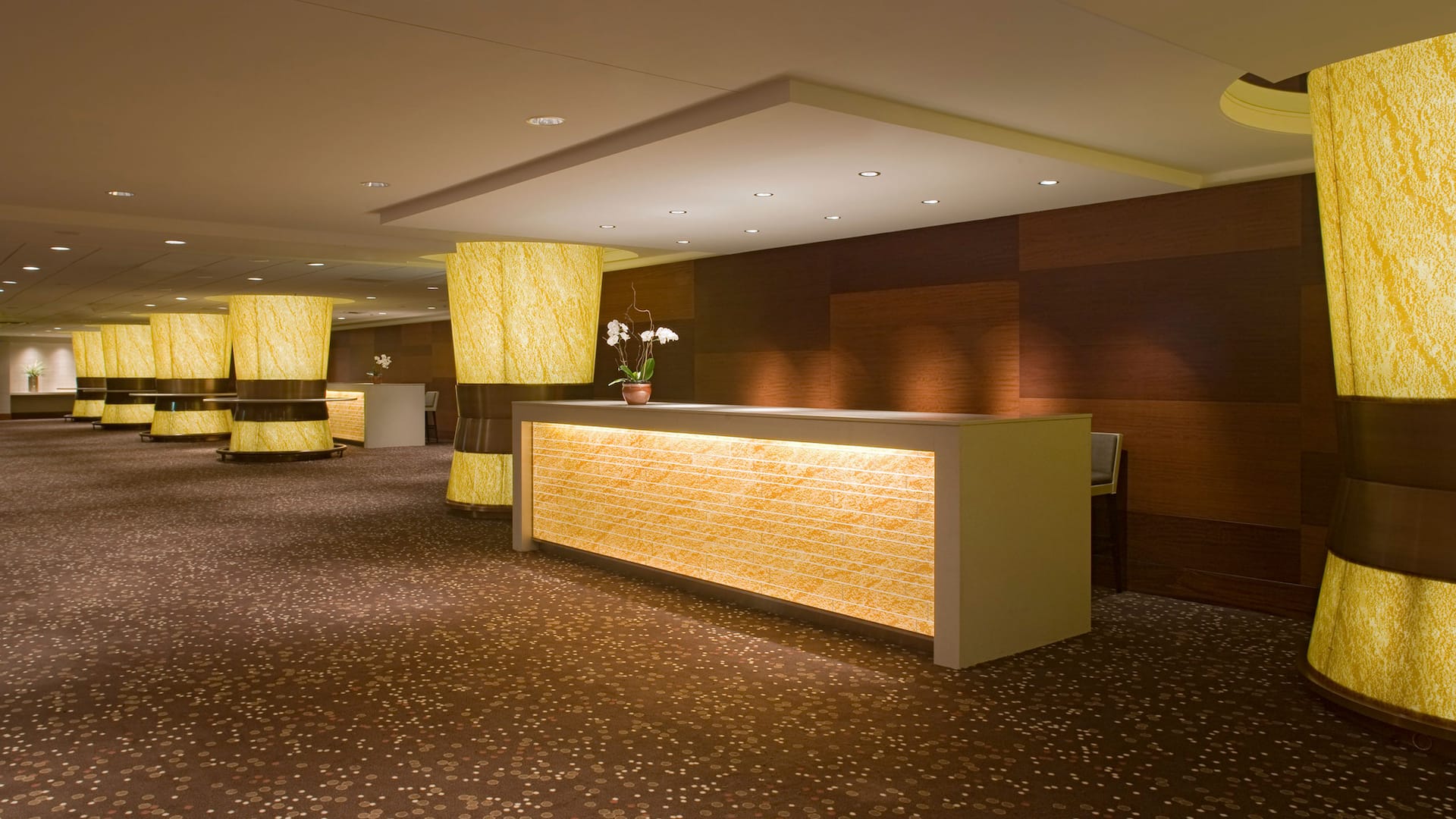 Hyatt Regency Chicago Regency Ballroom Foyer