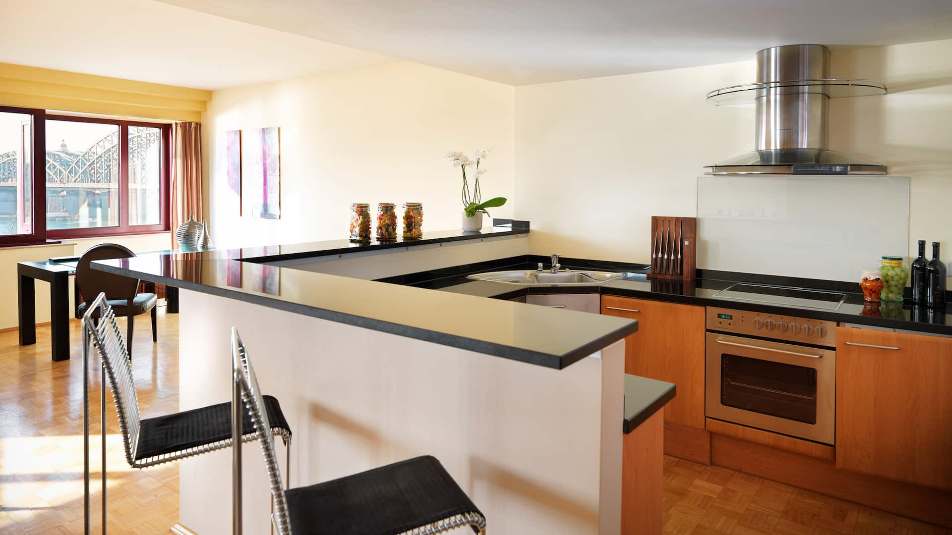 Hyatt Regency Cologne Apartment Kitchen