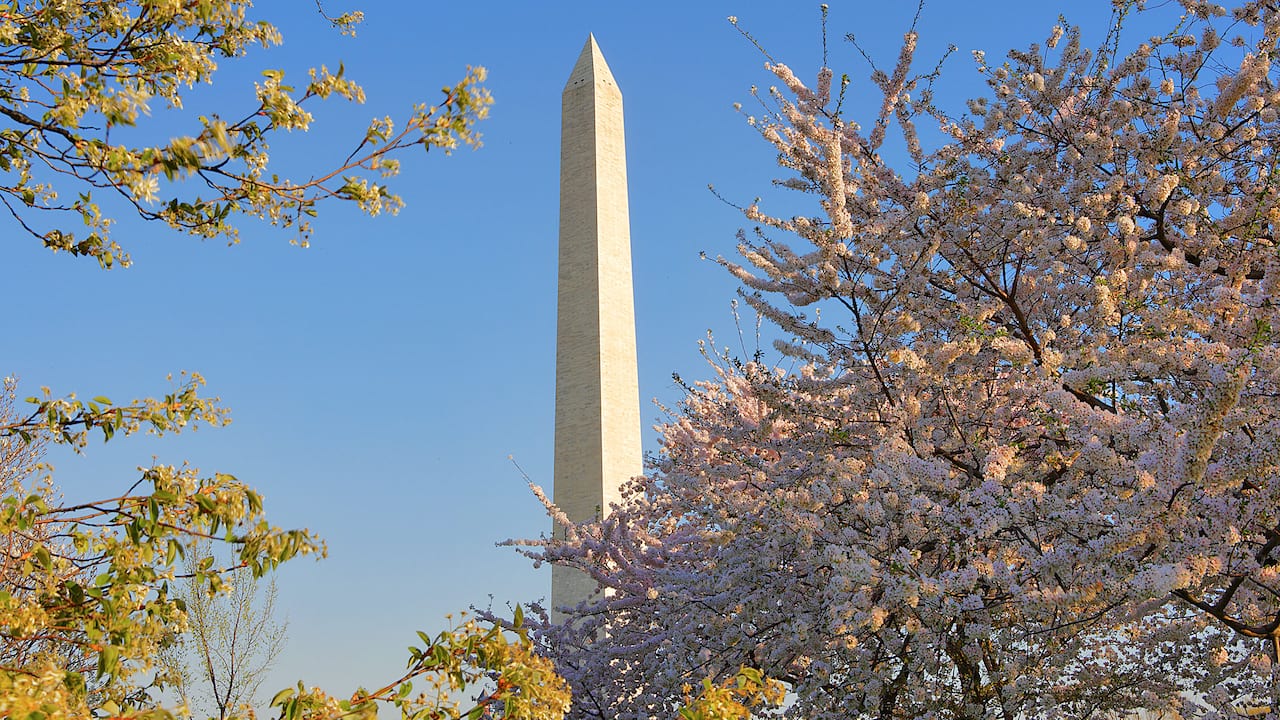 Washington Monument