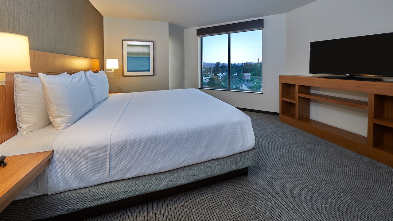 king bedroom with view