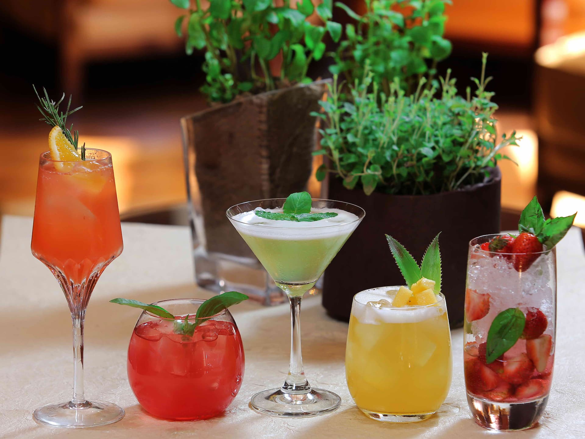 Hyatt Regency Delhi Garden Fresh Cocktails