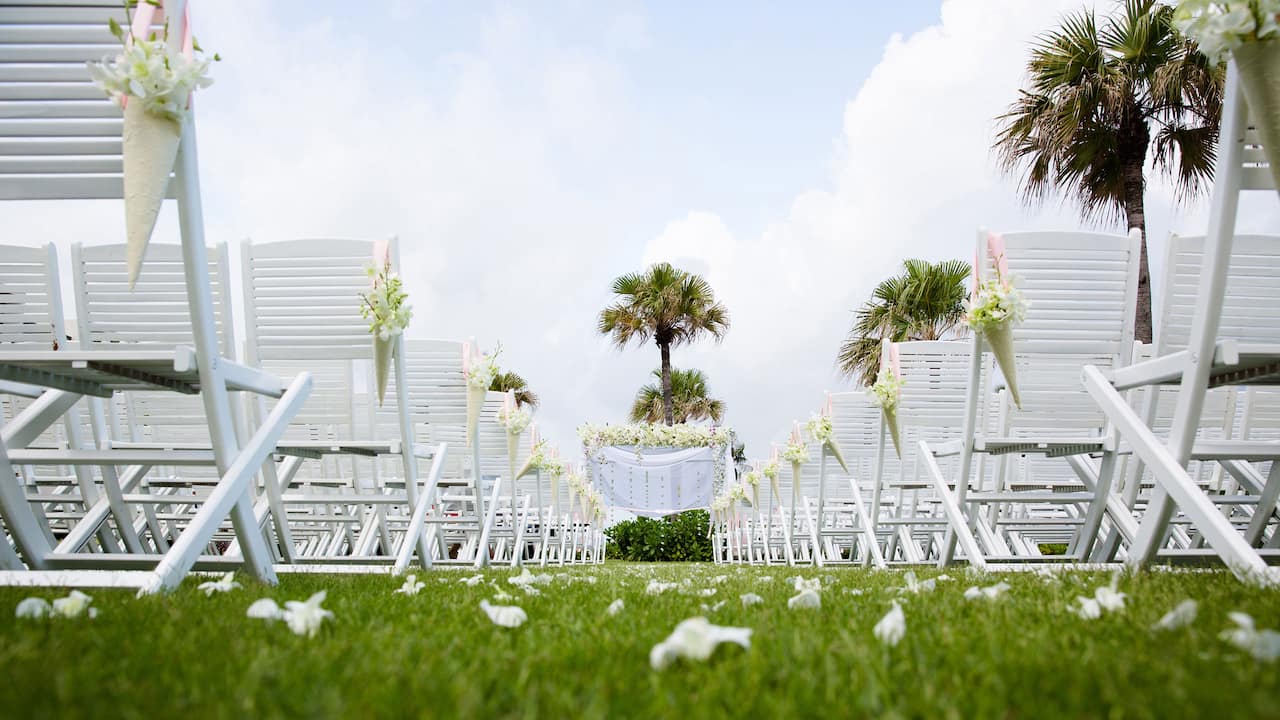 Wedding Setup