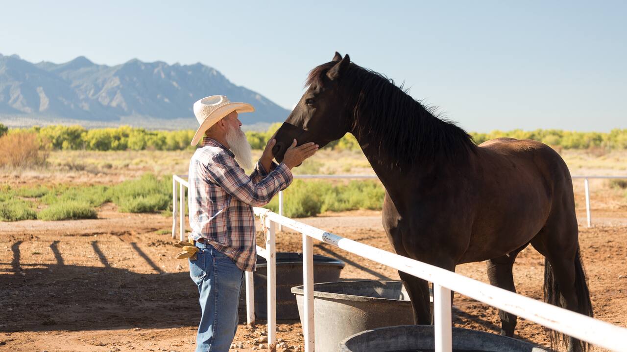 Stables Horse Corral Hyatt Regency Tamaya Resort & Spa 