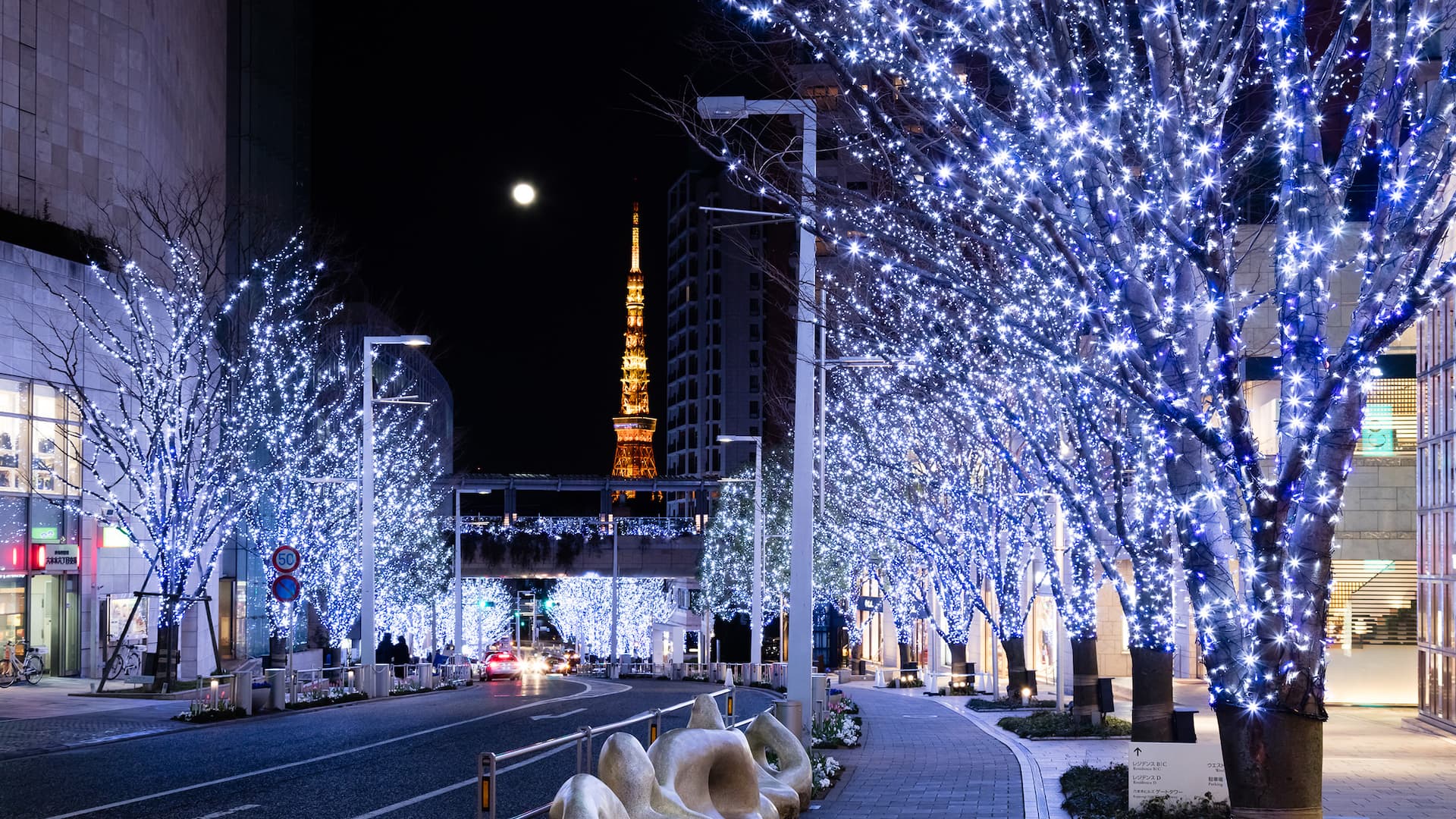 Grand Hyatt Tokyo Keyakizaka Christmas Illumination