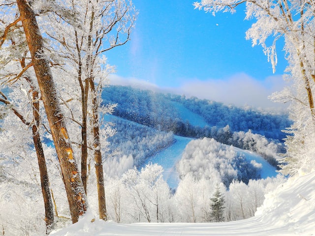 Winter Ski Resort