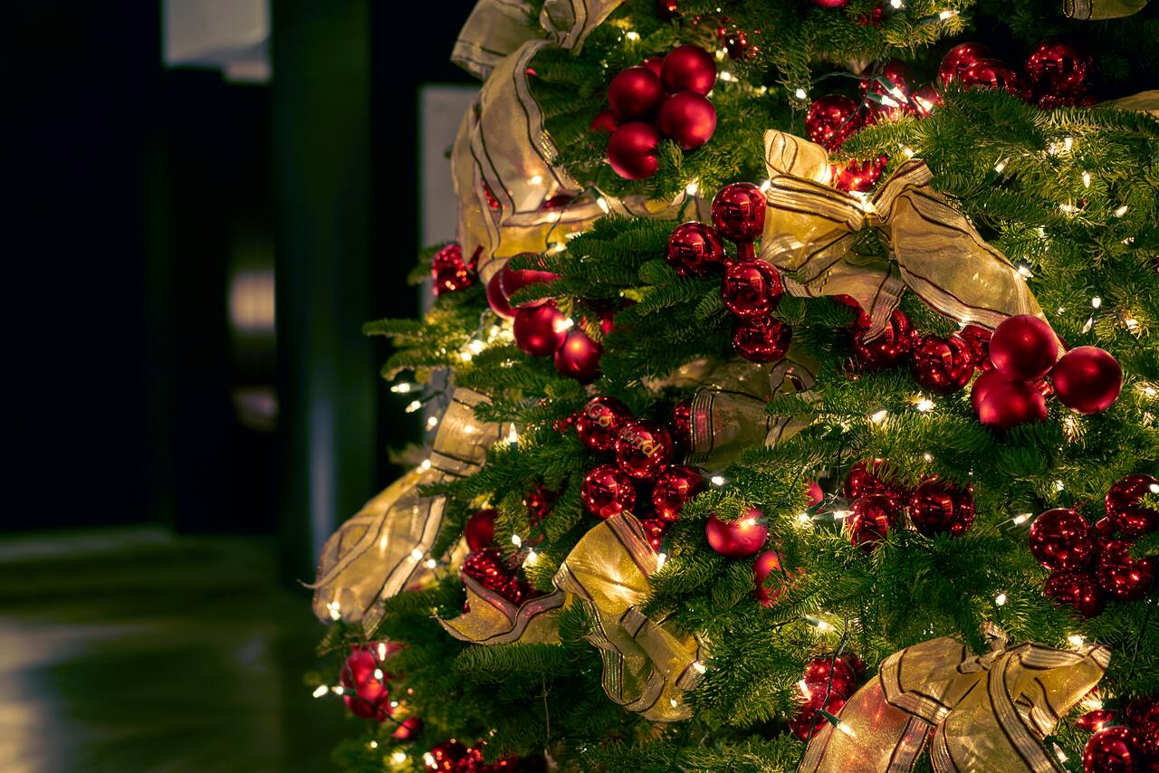 Christmas Brunch & Dinner at AnnaMaya Aerocity New Delhi Christmas Brunch & Dinner at AnnaMaya Aerocity New Delhi