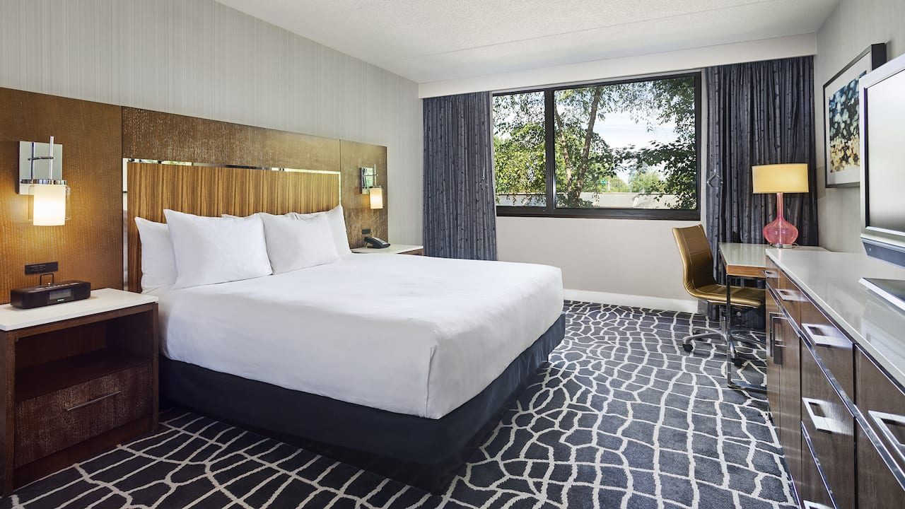 King sized bed by large window in hotel room