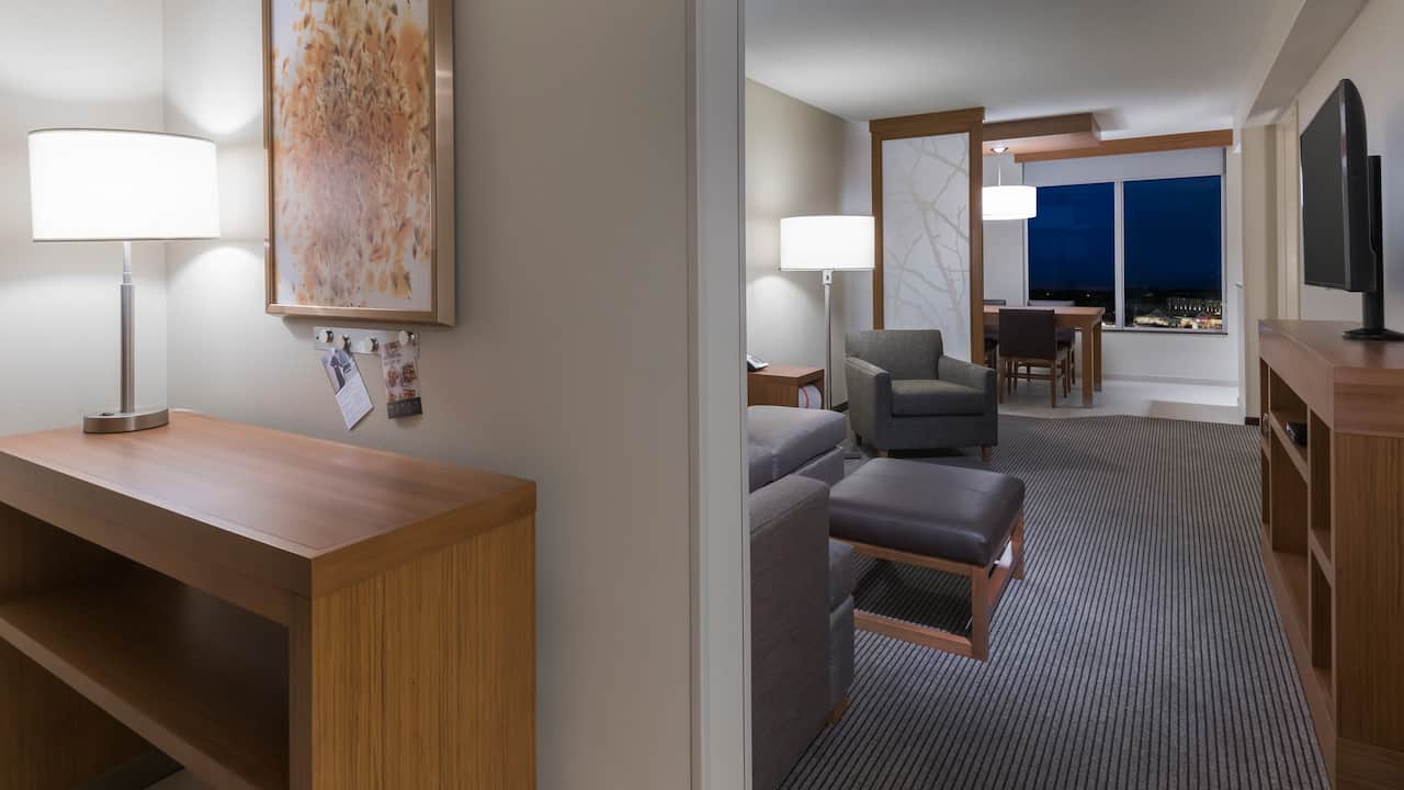 suite king bed with sofa bed