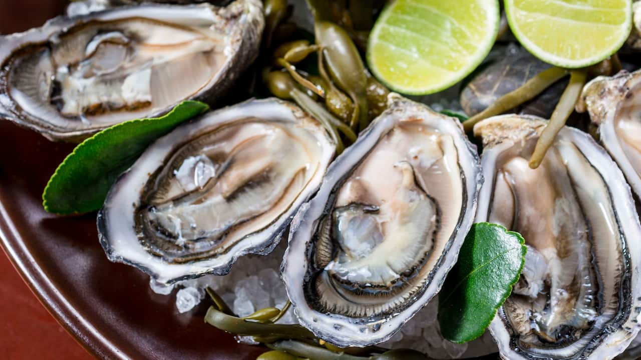 McFarland House Oyster
