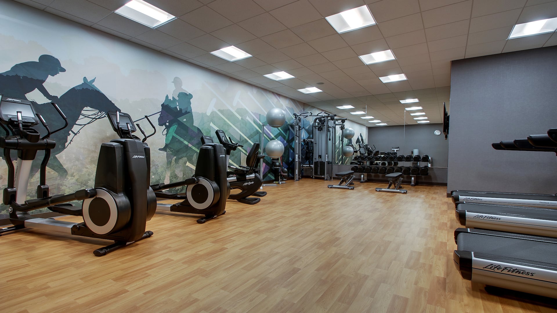 Hyatt House Chicago / Oak Brook Fitness Center Mural Wall