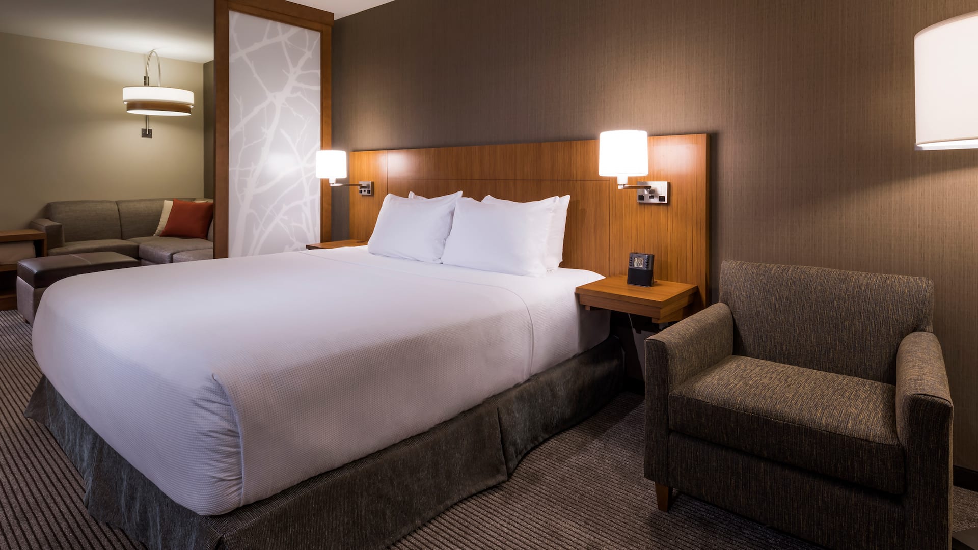 Hyatt Place Boise/Downtown King Bed