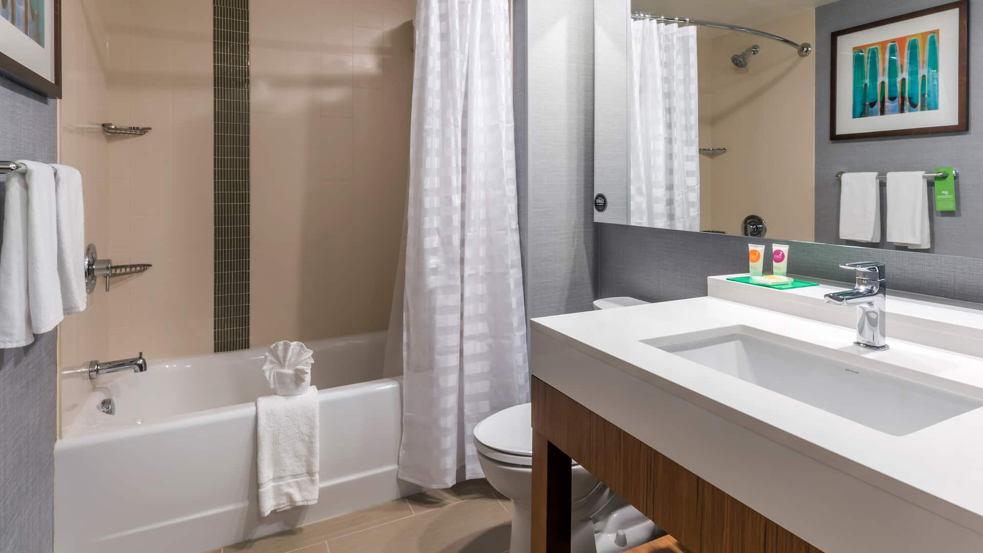 2/2 Hyatt Place Boise/Downtown Bathtub