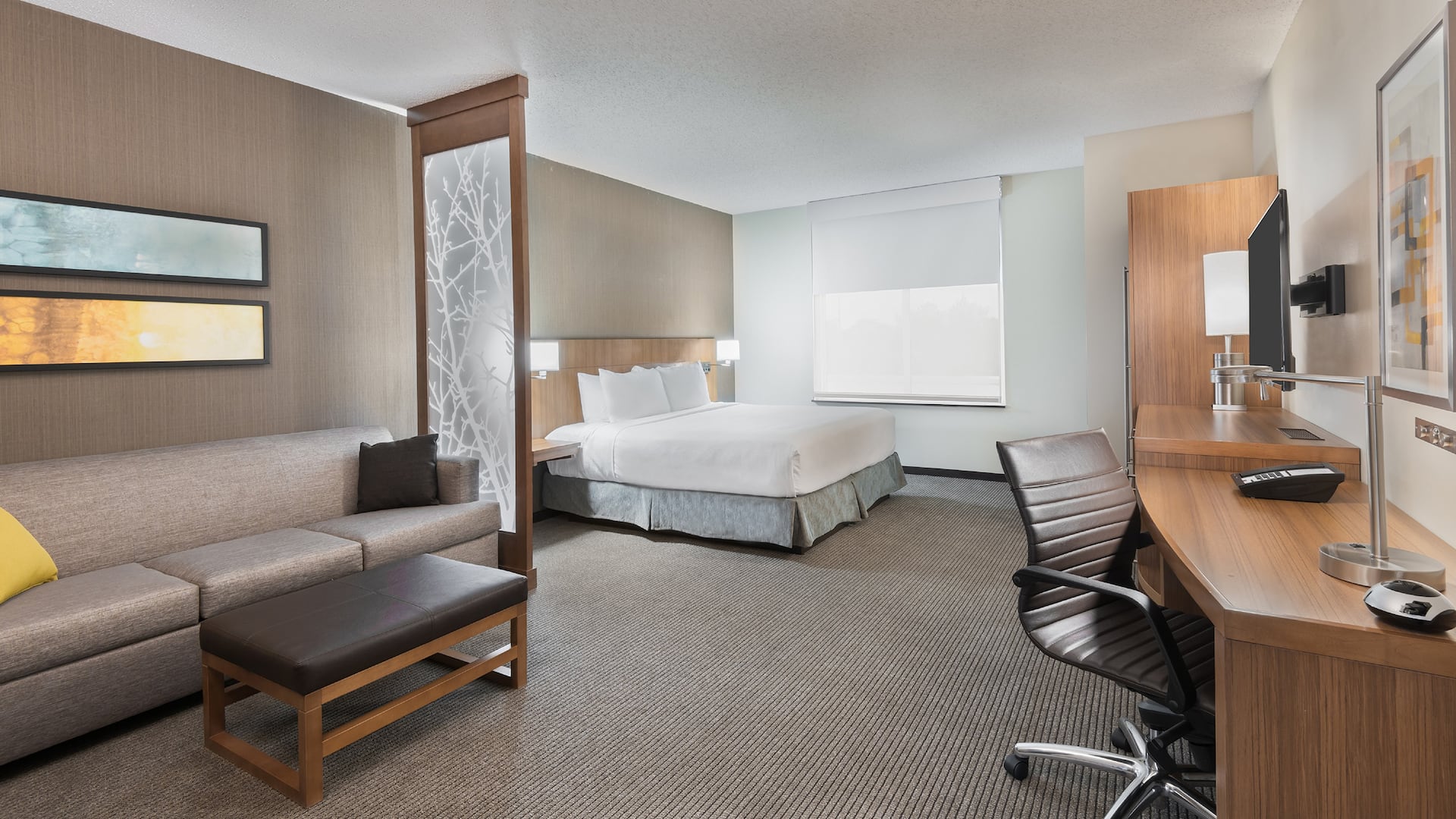 Hyatt Place Austin/Round Rock Accessible King Room