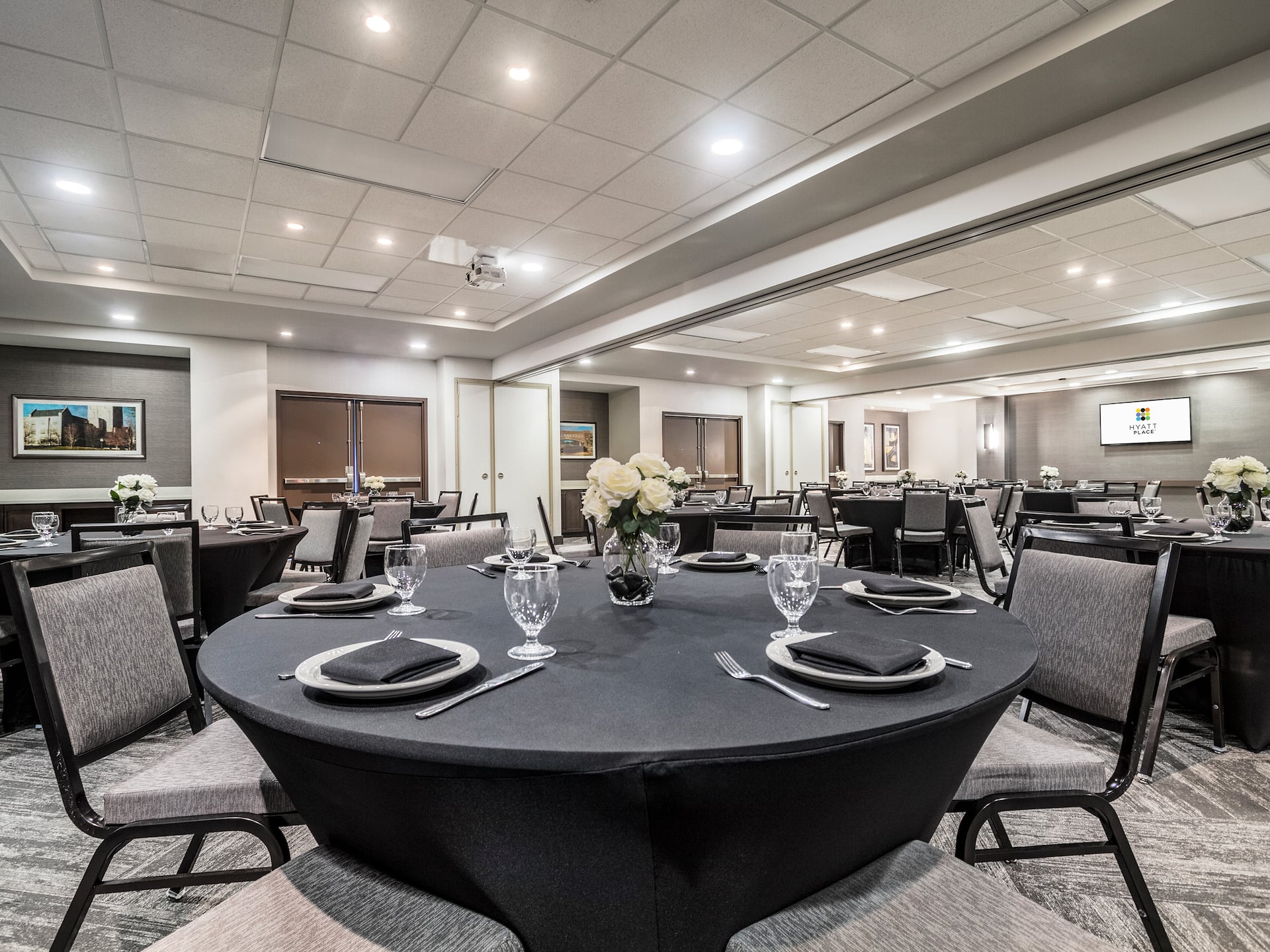 Hyatt Place Blacksburg/University Ballroom Closeup