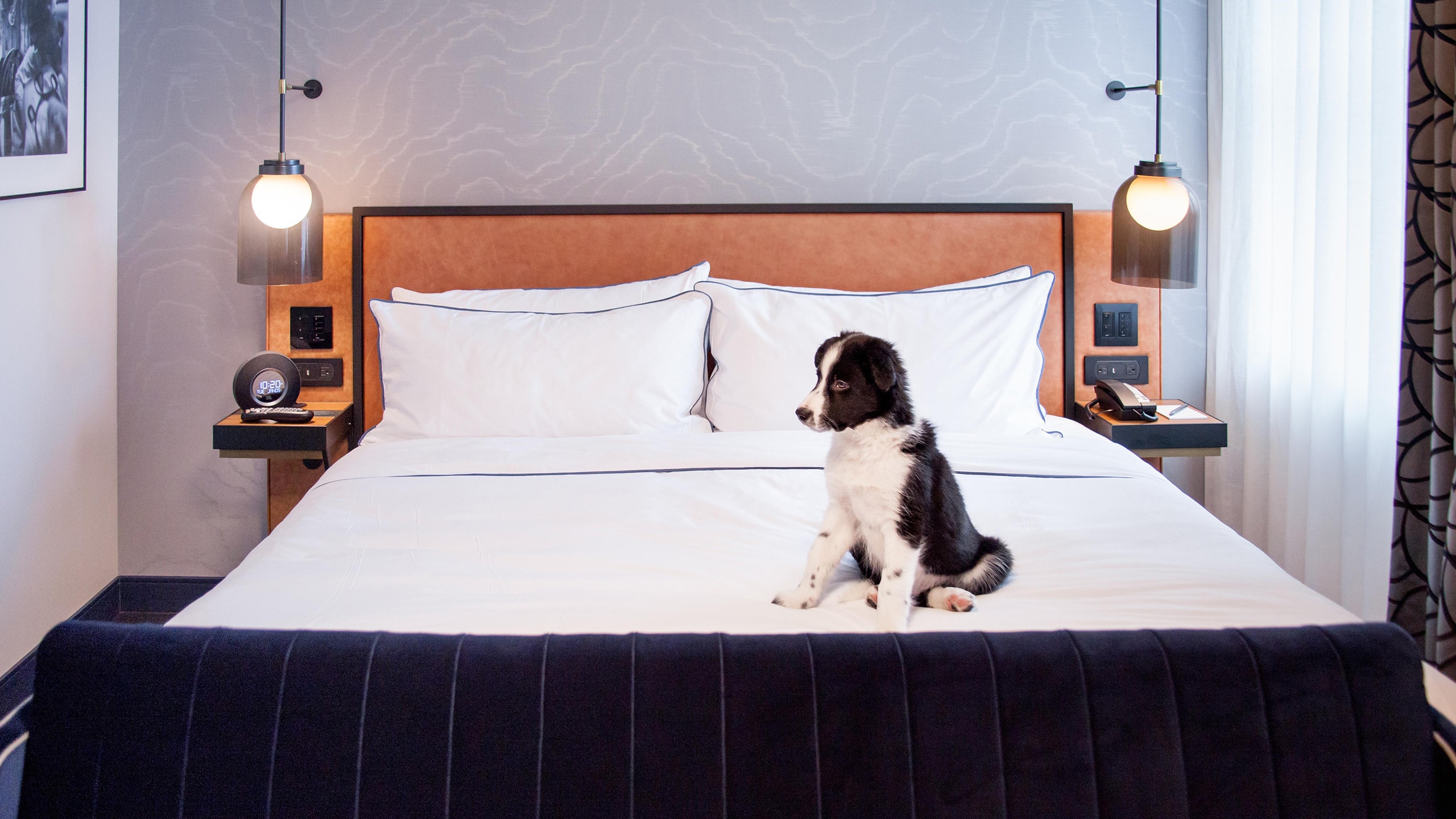 Holston House Nashville Pet Friendly