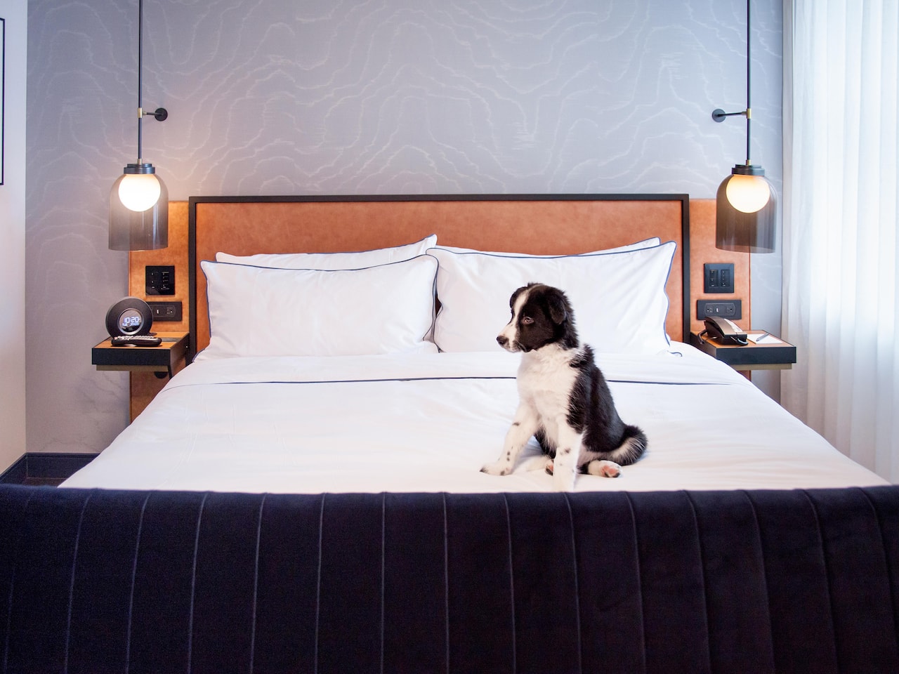 Pet friendly hotel in Dehradun