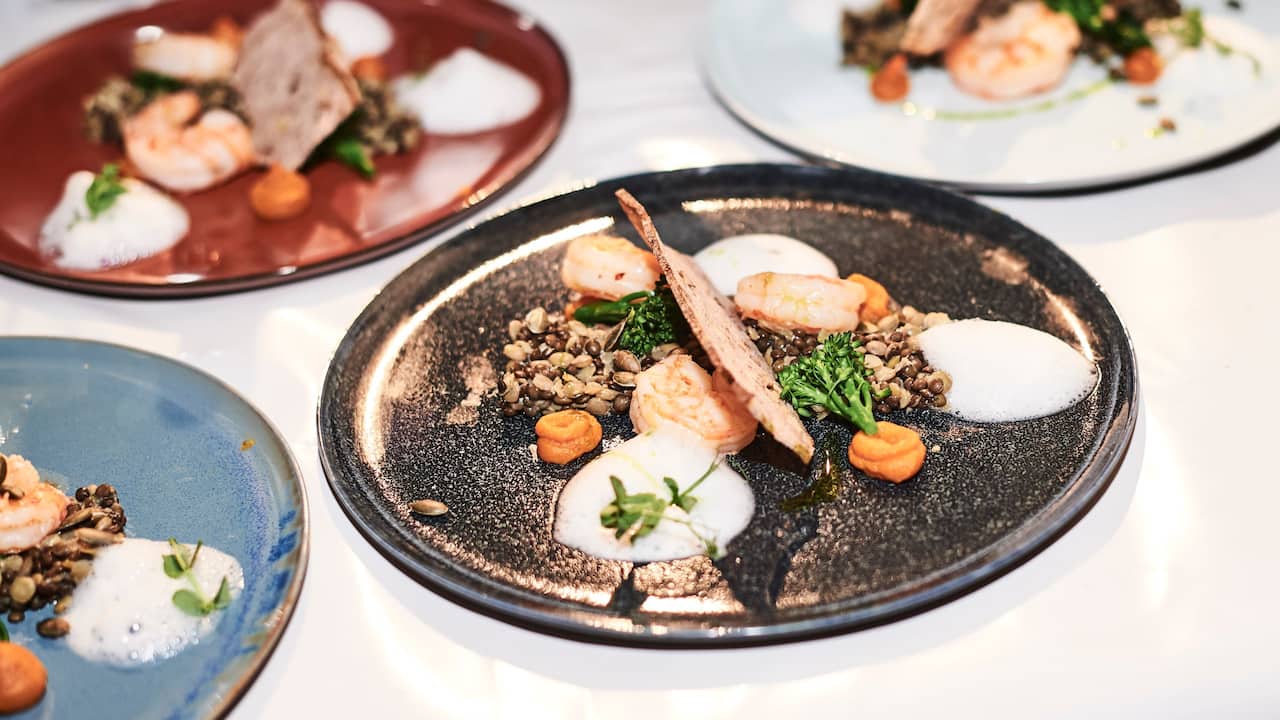Plate with food selection scampi on a bed of lentils