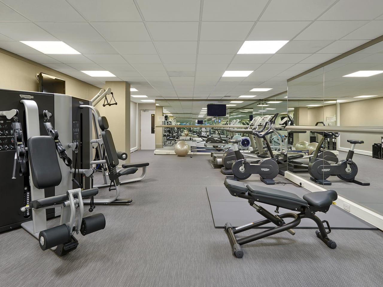 gym