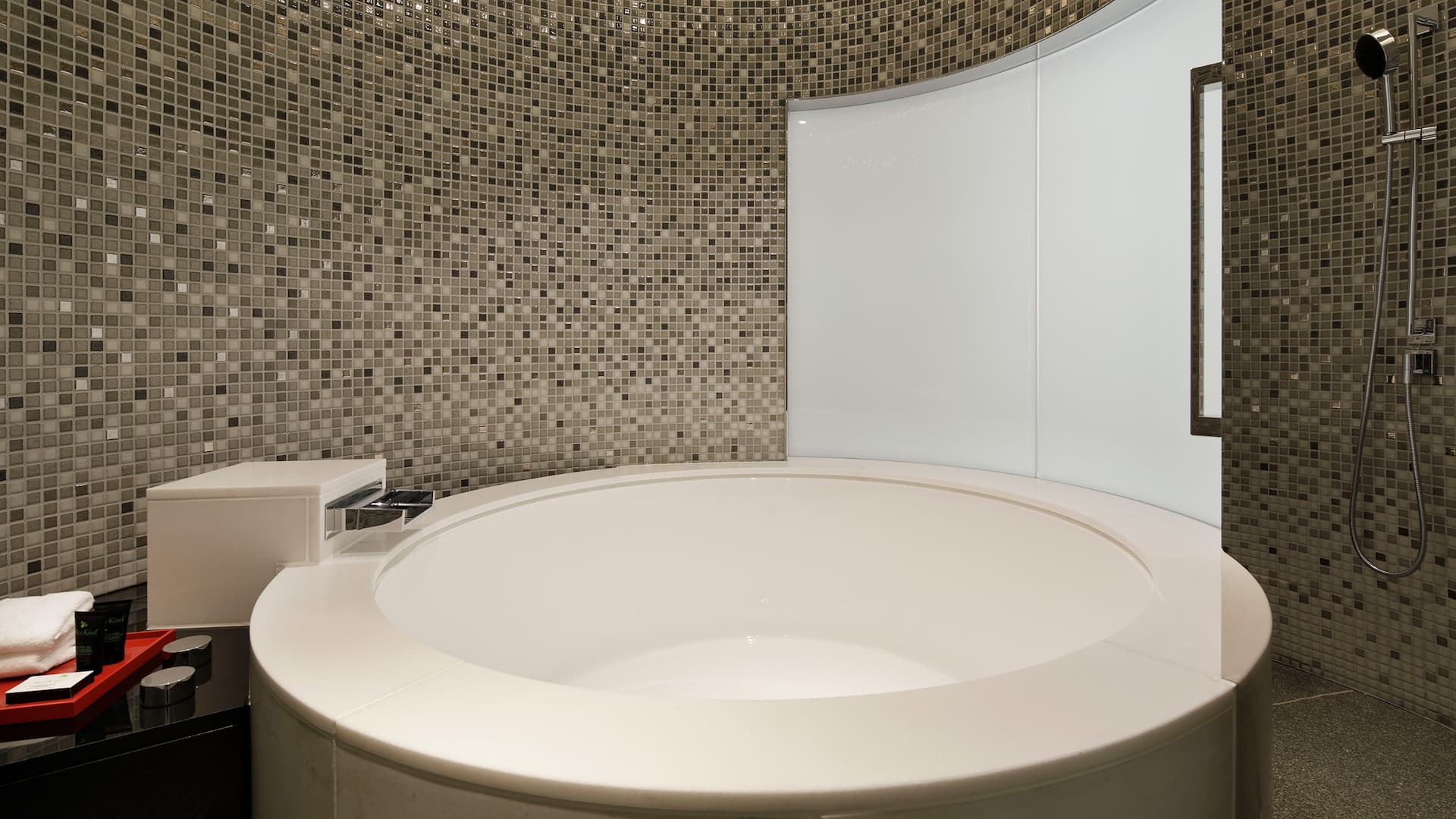9 de 9 Hyatt Centric Ginza Tokyo Namiki Suite Bathtub