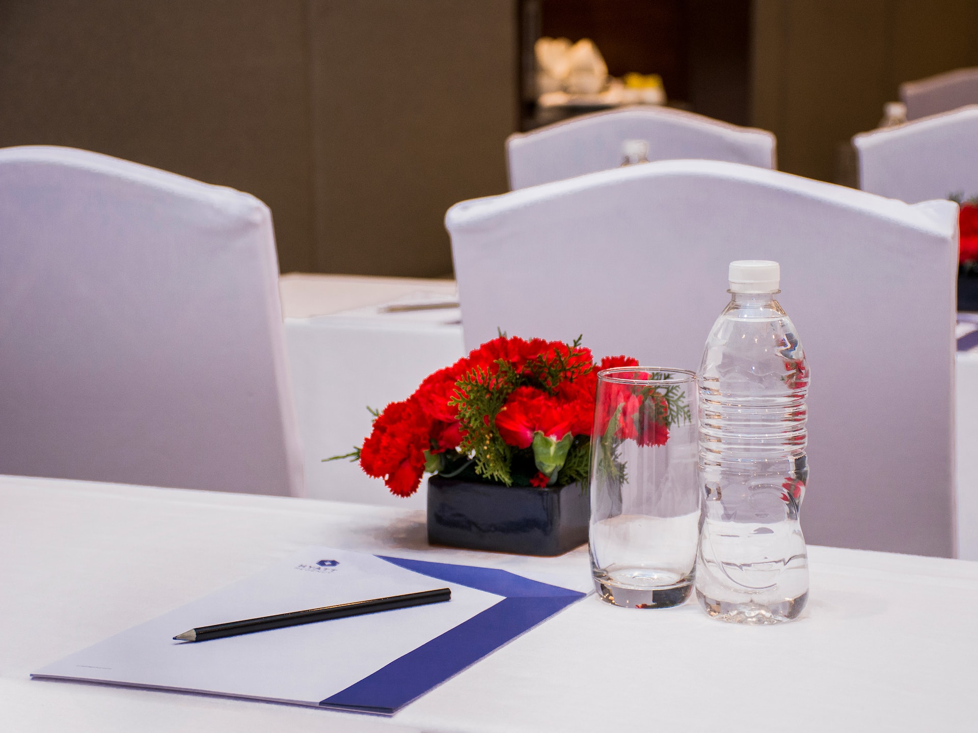 Hyatt Regency Kathmandu Meeting