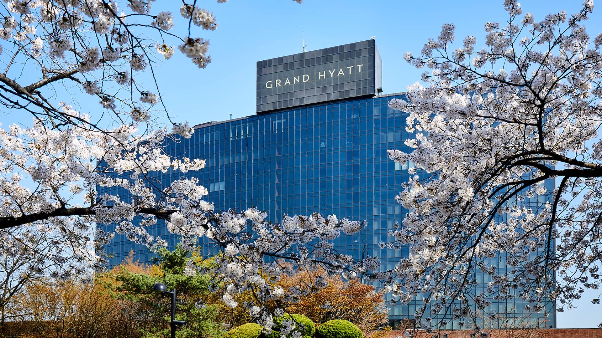 Special Seoul Hotel Deals & Offers