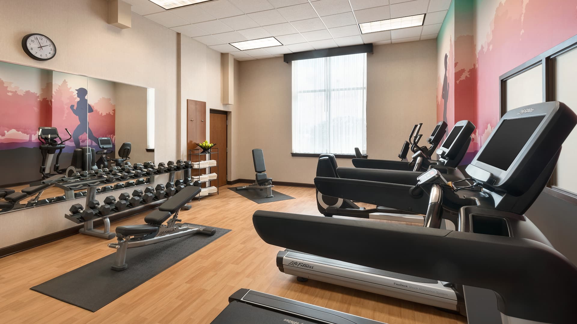 Hyatt Place Chicago/Schaumburg StayFit Gym