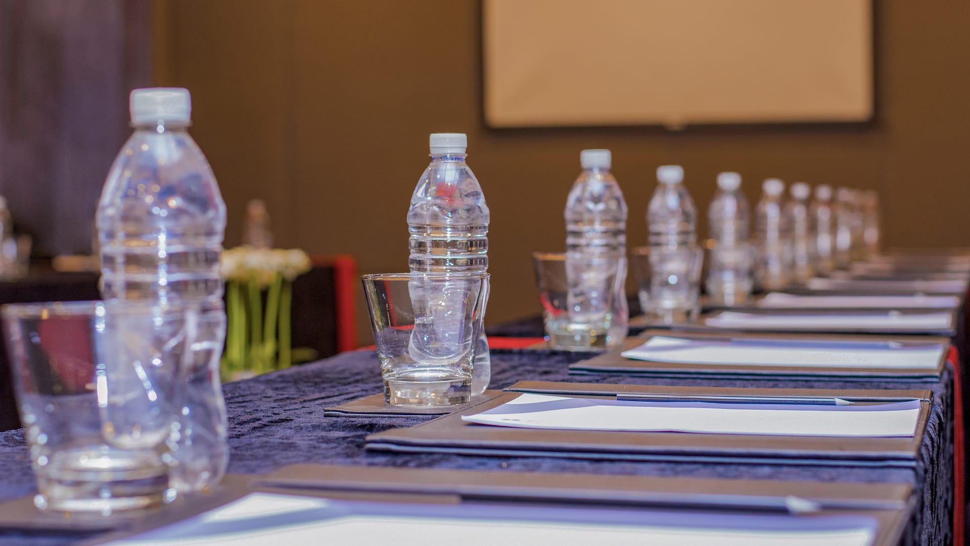 Hyatt Regency Kathmandu Meeting Cameo