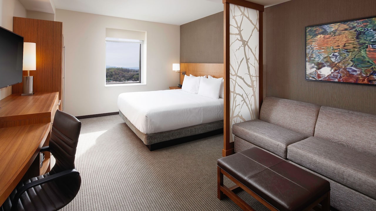 King Room Park View