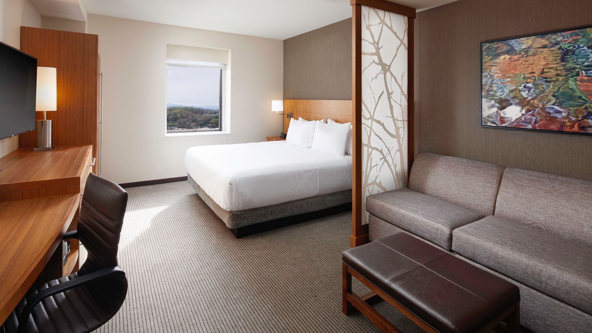 Hyatt Place Knoxville / Downtown King View