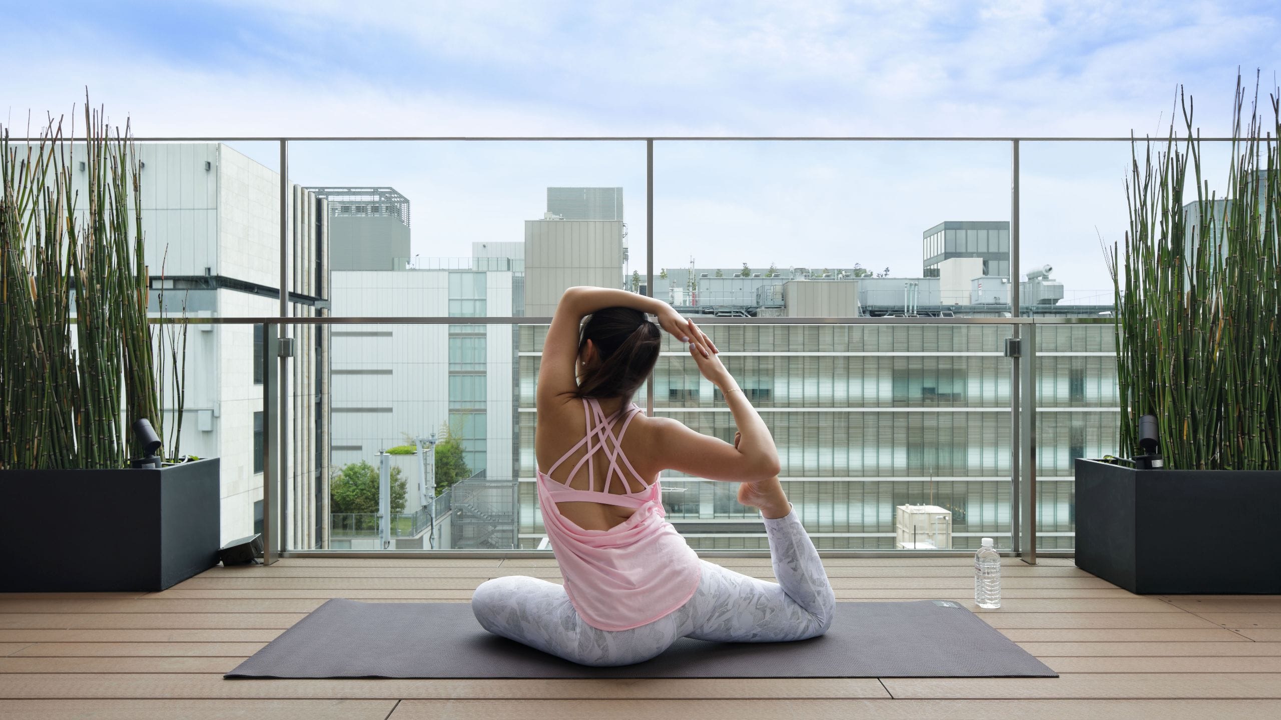 Hyatt Centric Ginza Tokyo Namiki Suite Terrace Yoga Detail Pigeon