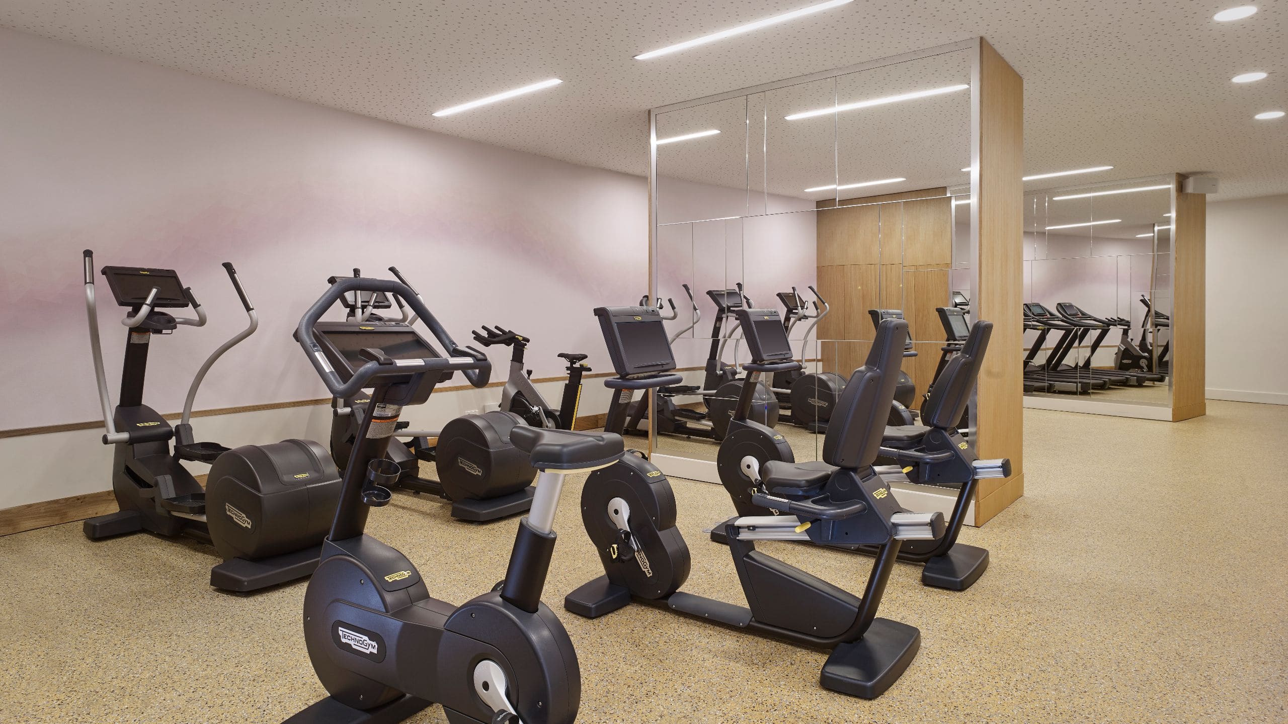 Hyatt Regency Paris Étoile Fitness Bike