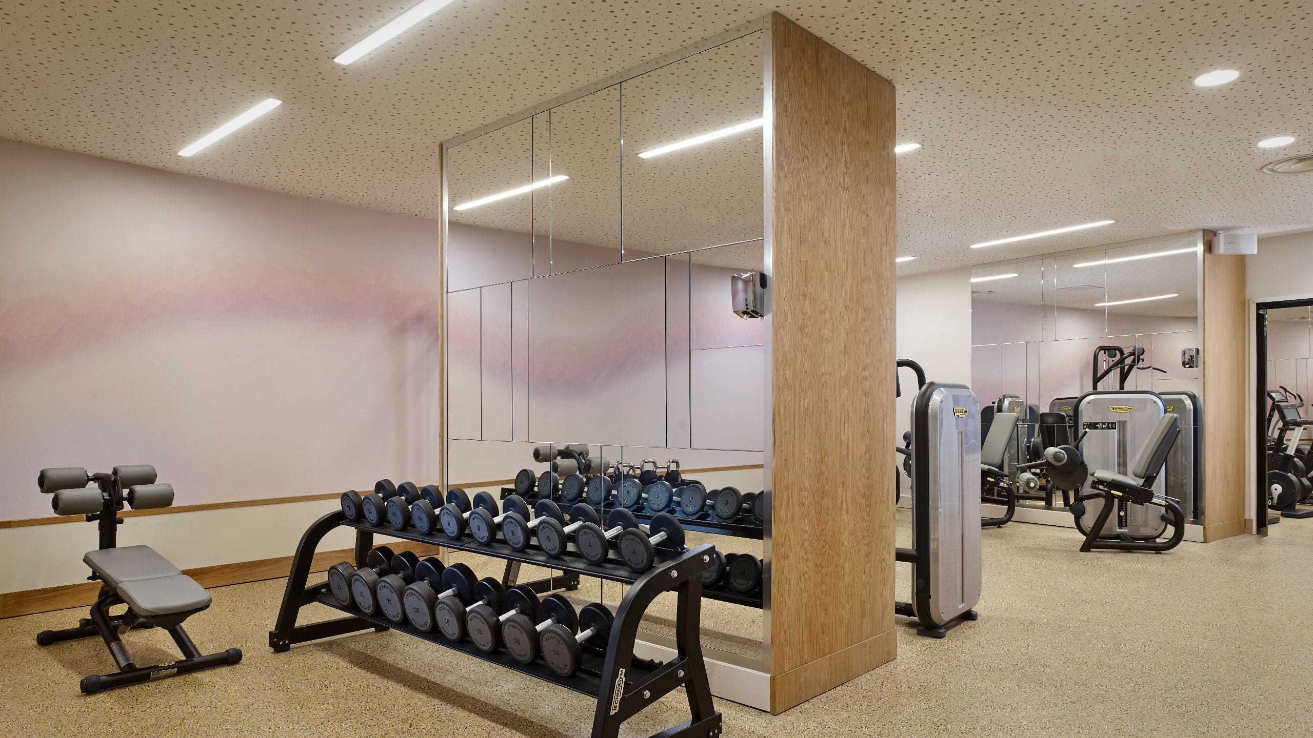 Hyatt Regency Paris Étoile Fitness Room