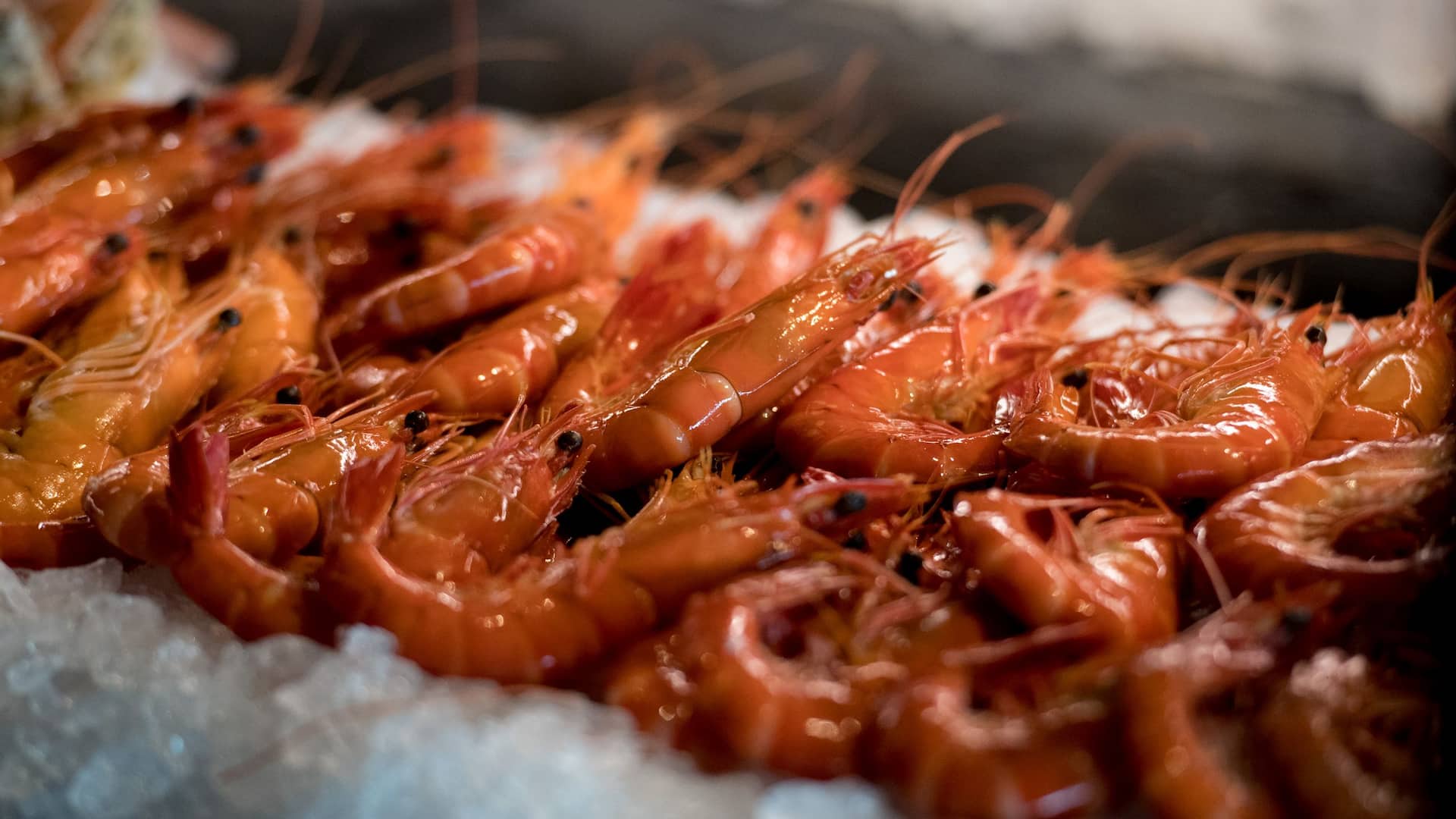 Hyatt Regency Sydney Sailmaker Seafood Prawns